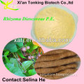 100% natural rhizoma dioscoreae extract 10:1